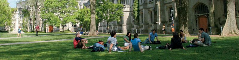 click here for more information