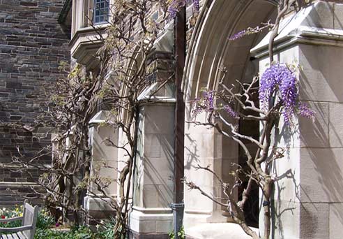 Campus Character: Historic Campus Areas