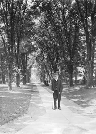 Campus Evolution: McCosh Walk